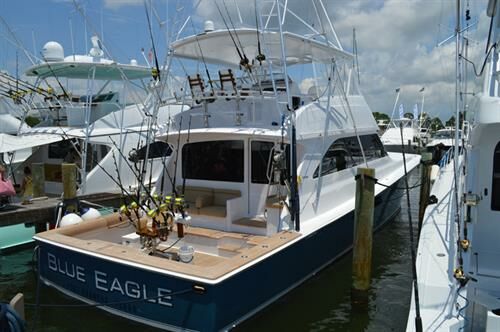 Image for team Blue Eagle at the 2016 Bisbee's Black & Blue Marlin Tournament