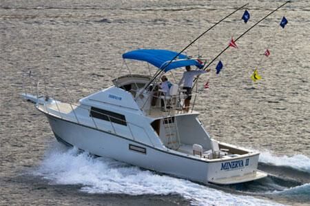 Image for team Fishing Legends at the 2016 Bisbee's Black & Blue Marlin Tournament